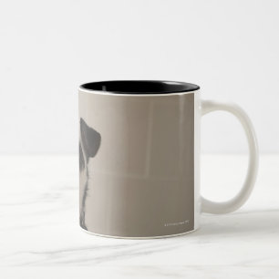 Caneca De Café Em Dois Tons Terrier de Jack russell