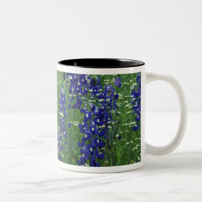 Caneca De Café Em Dois Tons Texas, Lago Buchanan. Texas Bluebonnet e Wild (Direita)