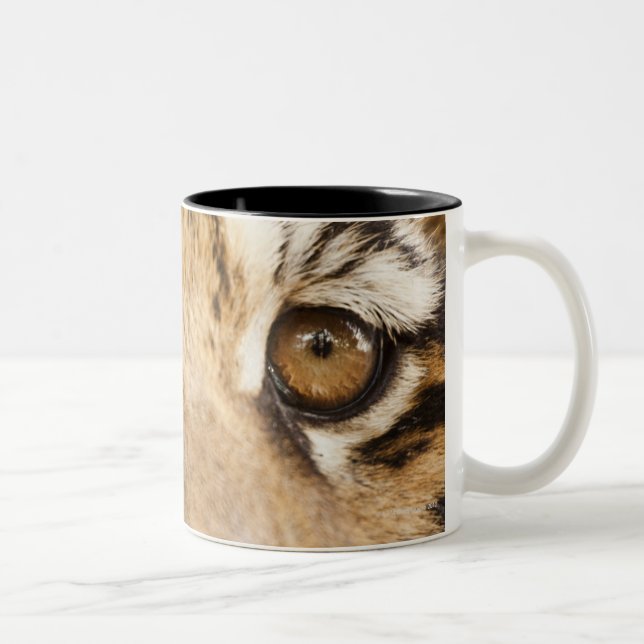 Caneca De Café Em Dois Tons Tigre (Direita)