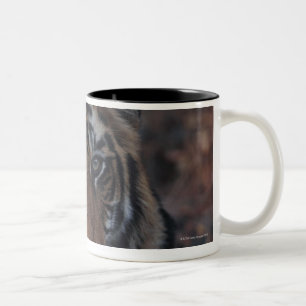 Caneca De Café Em Dois Tons Tigre Cub de Bengal