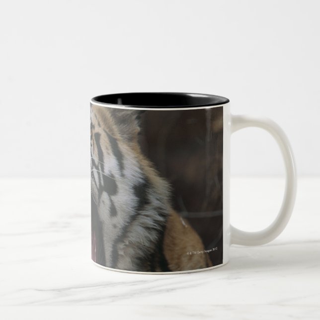 Caneca De Café Em Dois Tons Tigre Cub que boceja (Direita)