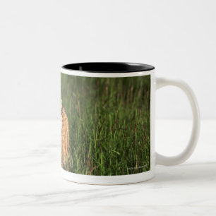 Caneca De Café Em Dois Tons Tigre de Bengal