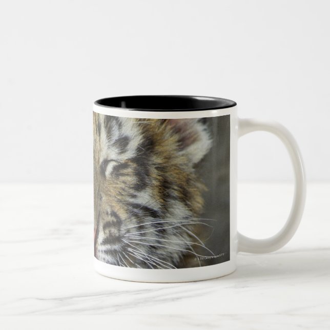Caneca De Café Em Dois Tons Tigre de Bengal que boceja (Direita)