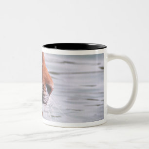 Caneca De Café Em Dois Tons Tigre de bocejo na água