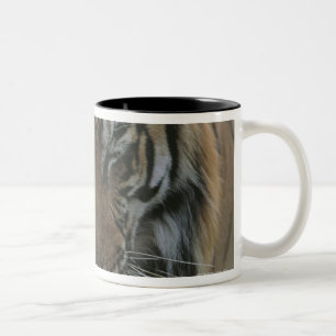 Caneca De Café Em Dois Tons Tigre do sono
