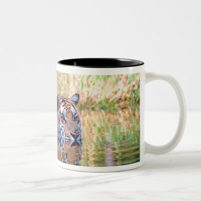 Caneca De Café Em Dois Tons Tigre no lago (Direita)