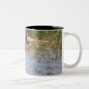 Caneca De Café Em Dois Tons Tigre (Panthera tigris) que funciona através da