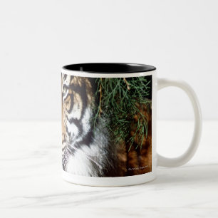 Caneca De Café Em Dois Tons Tigre que aprecia a máscara