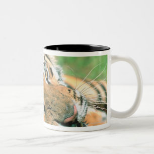 Caneca De Café Em Dois Tons Tigre que encontra-se na grama