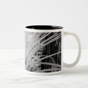 Caneca De Café Em Dois Tons Tillandsia epífita é comum na Flórida,