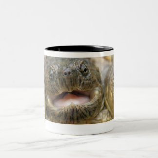 Caneca De Café Em Dois Tons Tinytwo 02