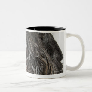 Caneca De Café Em Dois Tons Tiro do estúdio