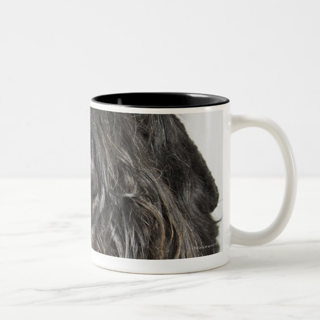 Caneca De Café Em Dois Tons Tiro do estúdio (Direita)