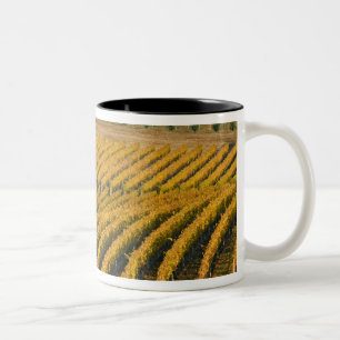 Caneca De Café Em Dois Tons Toscano Black Walnut Inn acima do