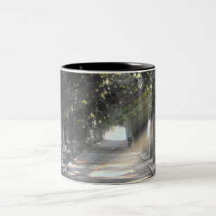 Caneca De Café Em Dois Tons trajeto do jardim, Roma