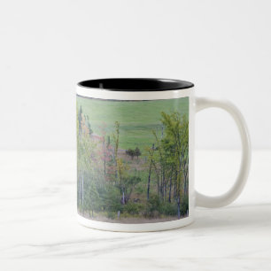 Caneca De Café Em Dois Tons Trator com fardo de feno em campo verde com