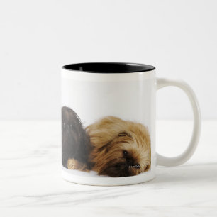 Caneca De Café Em Dois Tons Três cães de Pekingese e único Pug que
