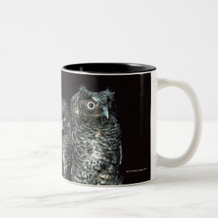 Caneca De Café Em Dois Tons três corujas