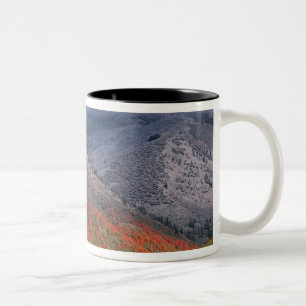 Caneca De Café Em Dois Tons Três estações de folhagem, bordos vermelhos e outo
