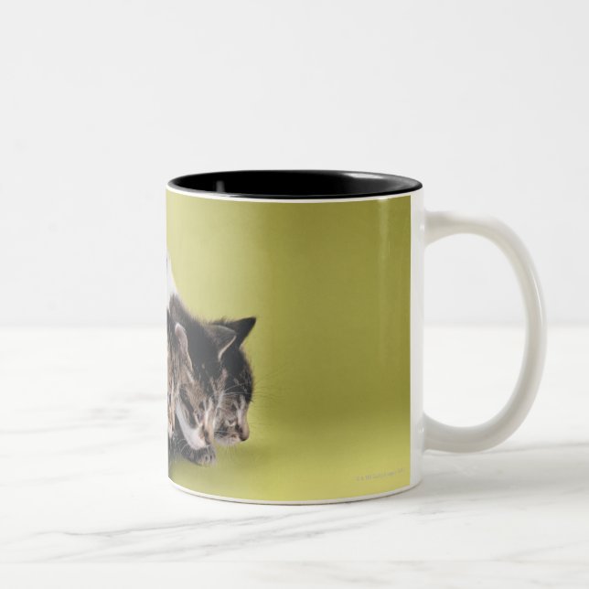 Caneca De Café Em Dois Tons Três gatinhos que abraçam-se (Direita)