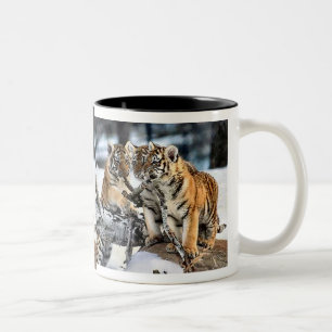 Caneca De Café Em Dois Tons Três tigre Cubs em presentes da arte da neve