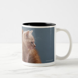 Caneca De Café Em Dois Tons Trio dos gatinhos