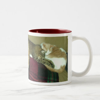 Caneca De Café Em Dois Tons trio napping