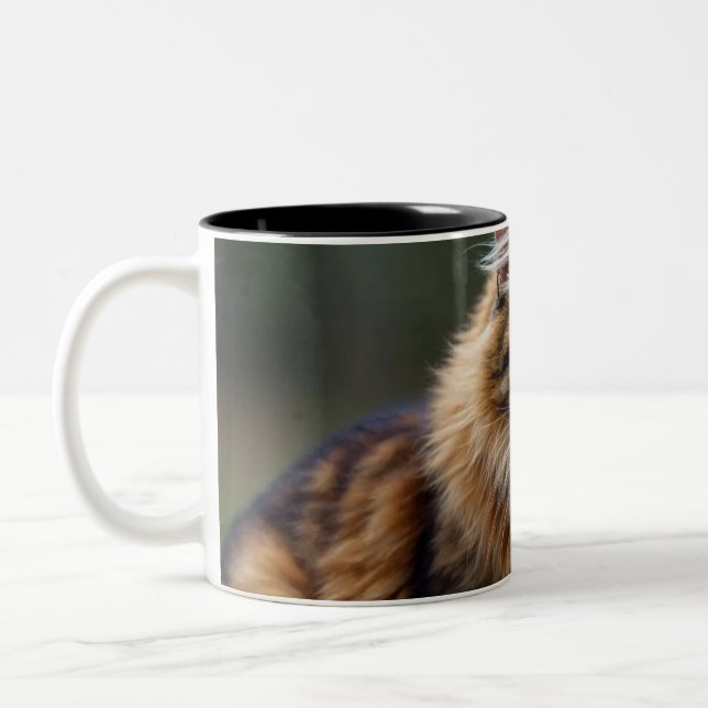 Caneca De Café Em Dois Tons Tu Felin,Amantes de los Gatos (Esquerda)