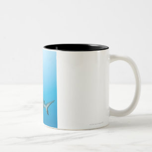 Caneca De Café Em Dois Tons Tubarões cinzentos do recife (amblyrhnchos do