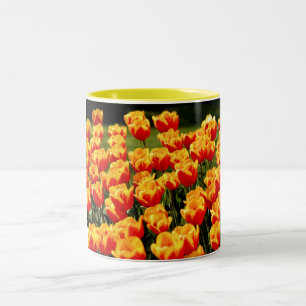Caneca De Café Em Dois Tons Tulipas amarelas e vermelhas no tempo de primavera
