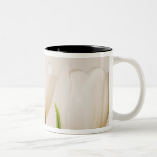 Caneca De Café Em Dois Tons Tulipas brancas contra um fundo branco,