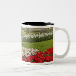Caneca De Café Em Dois Tons Tulipas e narcisos, Jardins Keukenhof,