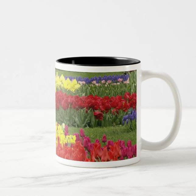Caneca De Café Em Dois Tons Tulipas, Hyacinth de Uva e Daffodils, 2 (Direita)