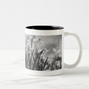 Caneca De Café Em Dois Tons Tulipas na flor