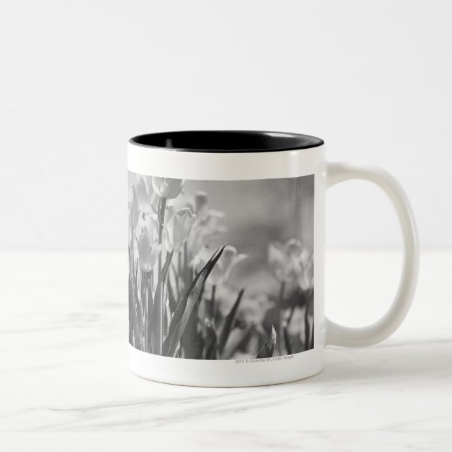 Caneca De Café Em Dois Tons Tulipas na flor (Direita)