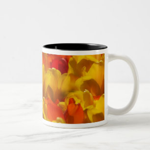 Caneca De Café Em Dois Tons Tulipas nos Jardins Keukenhof, Amsterdã, 2