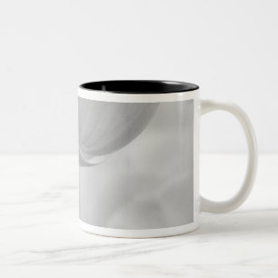 Caneca De Café Em Dois Tons Tulipas nos Jardins Keukenhof, Holanda.