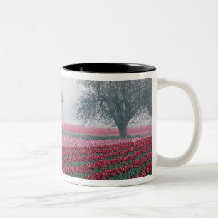 Caneca De Café Em Dois Tons Tulipas vermelhas e cor-de-rosa saudam o dia com u