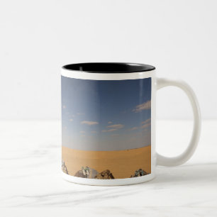 Caneca De Café Em Dois Tons Tunísia, Área Ksour, Ksar Ghilane, Grand Erg 2