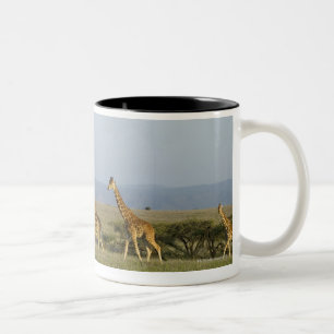 Caneca De Café Em Dois Tons Tutela dos animais selvagens de Lewa, Kenya