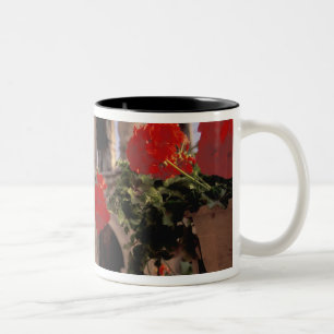 Caneca De Café Em Dois Tons UE, França, Provença, Bouches, du, Rhone, 6