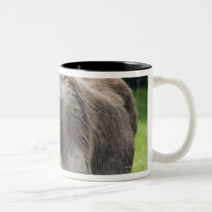 Caneca De Café Em Dois Tons Um asno