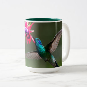 Caneca De Café Em Dois Tons Um Beija-flor-de-orelha-violeta Menor na Floresta