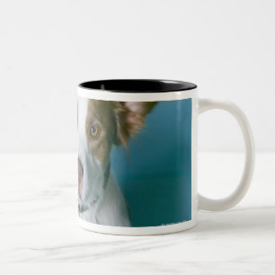 Caneca De Café Em Dois Tons Um cão