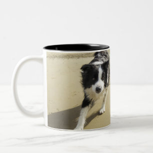 Caneca De Café Em Dois Tons Um cão de border collie que funciona na praia