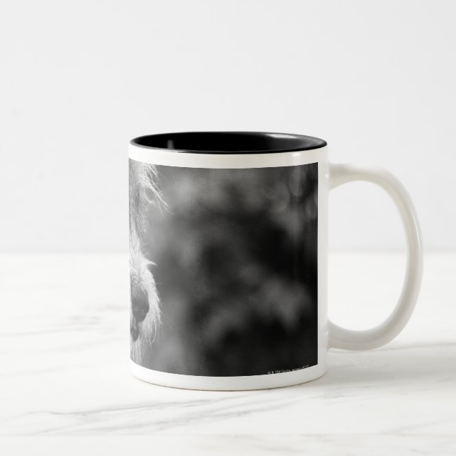 Caneca De Café Em Dois Tons Um cão fora (Direita)