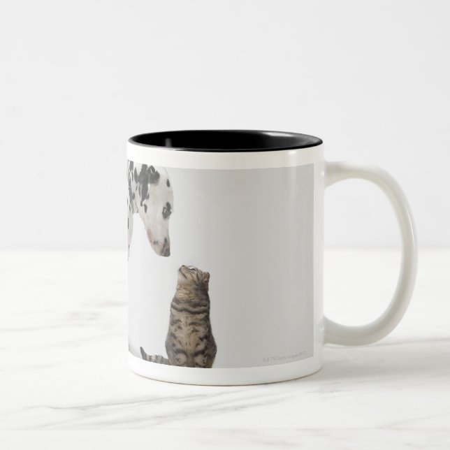 Caneca De Café Em Dois Tons Um cão que olha um gato (Direita)