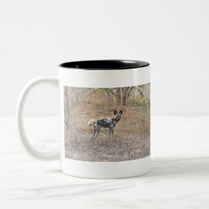 Caneca De Café Em Dois Tons Um Cão Selvagem (Pintado) Fica No Bush, Zâmbia.