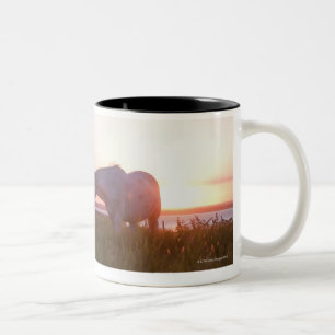 Caneca De Café Em Dois Tons Um cavalo em um campo