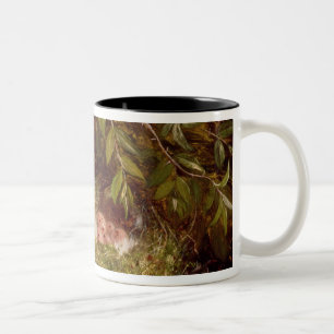 Caneca De Café Em Dois Tons Um Chaffinch em seu ninho, 1877 (óleo no painel)